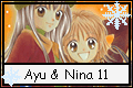 A+N 11