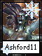 Ashford 11
