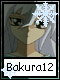 Bakura 12