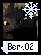 Berk 2