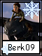 Berk 9