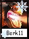 Berk 11