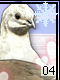 Birds 4