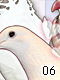 Birds 6