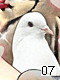Birds 7