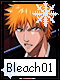 Bleach 1