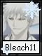 Bleach 11