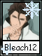 Bleach 12