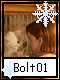Bolt 1