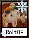 Bolt 9