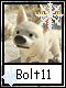 Bolt 11