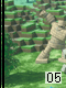 Build 5