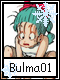 Bulma 1