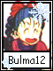 Bulma 12