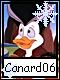 Canard 6