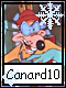 Canard 10