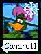 Canard 11