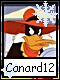 Canard 12