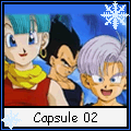 Capsule 2