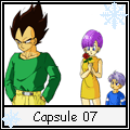 Capsule 7