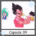 Capsule 9