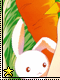 Carrot 9