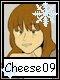 Cheese 9