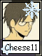Cheese 11