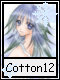 Cotton 12