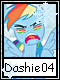 Dashie 4