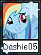 Dashie 5