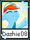 Dashie 8