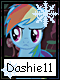 Dashie 11