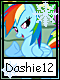 Dashie 12