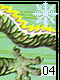Drache 4