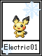 Electric 1