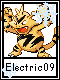 Electric 9