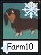 Farm 10