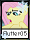 Flutter 5
