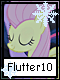 Flutter 10