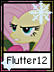 Flutter 12