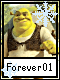 Forever 1