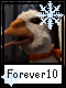 Forever 10