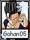 Gohan 5