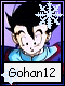 Gohan 12