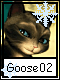 Goose 2