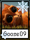 Goose 9