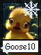 Goose 10