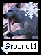 Ground 11