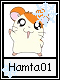 Hamta 1